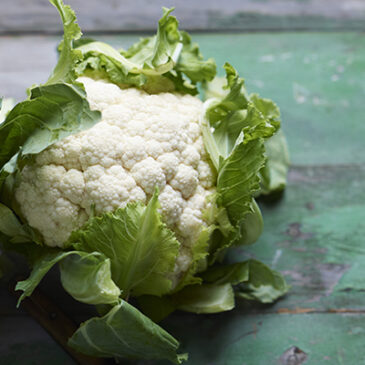 Weißer Kohl: vielseitig und gut bekömmlich