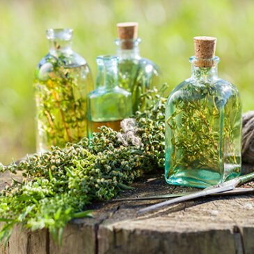 Die Schätze der Natur täglich nutzen