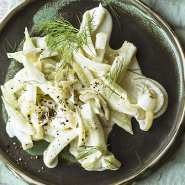 Fenchel in Rieslingsahne